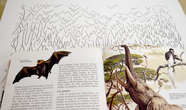 Nature cruelle / Atelier de Lasse & Russe