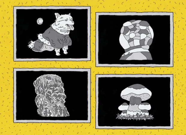 Le chien et les champignons / Lasse & Russe.